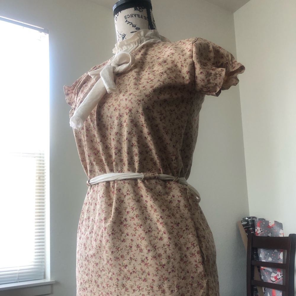 AppleCore Mini Dress - Picture 4 of 6